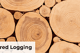 Structured logging best practices