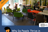 Why Do People Thrive in Co-working Spaces?