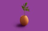 3 Instagram Growth Strategies in 2019