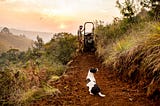 Soil Searching: Quiet Craftsman