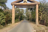 Dudhwa Tiger Reserve: The Terai heaven