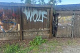When a Wolf Sees a Mermaid
