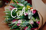 How to Successfully Brand a DNVB? — An interview with the founders of Colvin! 🌻