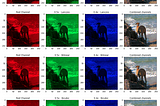 How to deal with image resizing in Deep Learning