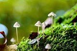 Accelerating Climate Tech: The Power of Strategic Partnerships