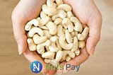 NutsPay x au Web Portal collaboration
