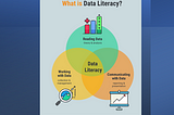 Boosting Data Literacy in Your Organization: A Comprehensive Guide