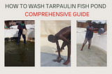 HOW TO WASH FISH POND