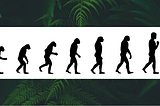 Embracing the Evolution: B Corp Assessment Changes in 2024.