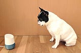 Better Conversations with Machines