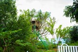 Treehouses in Munnar 2023