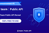 TEAM reveals its public API