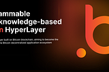 Bitsat: Bitcoin HyperLayer Based on ZK-Rollup