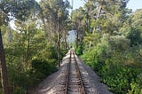 Train tracks leading into a green forest