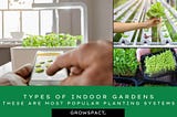 Types of indoor gardens: These are most popular planting systems