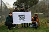 BobaCat in 2025: A Meme Token with Purpose