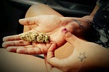 Weekly News Roundup: SF to Clear Cannabis Convictions from Last 40 Years