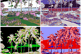 Image Processing with Python — Extracting Image Data for Clustering