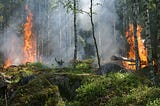Some of the most interesting, least-covered climate-related stories of 2017