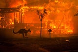 Australia Bushfires: A fiery saga of climate change