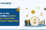 How to Use SocialBees to Grow Your Social Media Presence Organically?