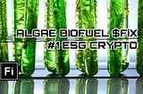 Finamatrix.NET partners #1 ALGAE OIL Producer with >100X More Efficiency to Combat Climate Change