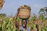 AgroCenta’s Smallholder Farmers Impact Agenda