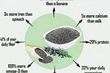 What Makes Chia Seeds Healthy?