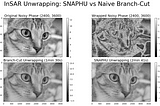 InSAR Unwrapping: SNAPHU vs Naive Branch-Cut