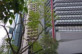 Hong Kong Art Centre／香港藝術中心のミュージアムショップにて取り扱いが始まりました