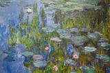 An actual painting of water lilies by French artist, Claude Monet