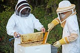 What You Should Know About Beekeeping Suits?