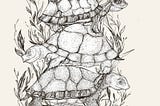Turtles All The Way Down?
