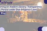 Reporting on modern slavery: Transparency Gaps Persist under Due Diligence Laws