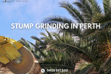 Efficient Stump Grinding in Perth: Shayne’s Tree Services