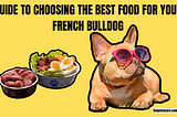 BEST FOOD FOR FRENCH BULLDOG | A DETAILED GUIDE