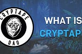 What is CryptApe Degen World ?