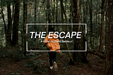 The Escape" is a novel written by David Baldacci detailed Review and favourite Quotes