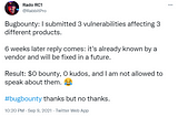 Bug Bounty Programs: Why it’s considered a hassle and what you can do about it