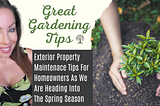 Gardening Tips For Homeowners