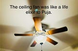 The Ceiling Fan