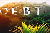 The Rising Popularity of Debt-For-Environment Swaps