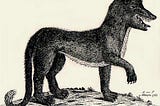 The Beast of Gévaudan — a mysterious creature that attacked hundreds of people