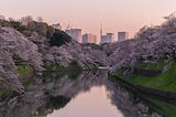 The best places to see Sakura in Tokyo