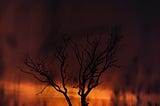 What the Australian bushfires taught me about barriers to donating