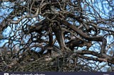 Git Resources
