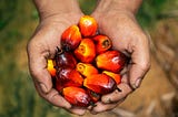 Palm Oil Vs Us