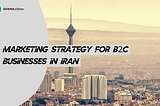 Marketing Strategy for B2C Businesses in Iran