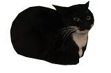 Swift x Metal for 3D Graphics Rendering Part 5: Drawing 3D Models from Files