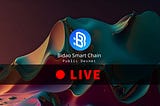 “Ascend Devnet”: Public Bidao® Smart Chain is here — the fastest real POS Blockchain powered by…